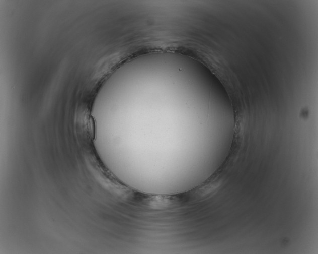 X0000116670623200912291659