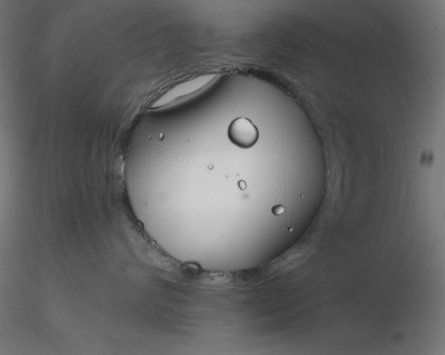 X0000116670624200912291659