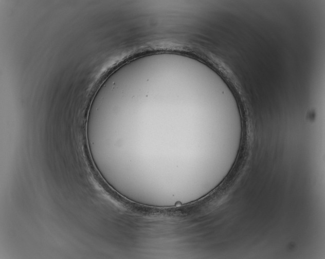 X0000116670625200912291659