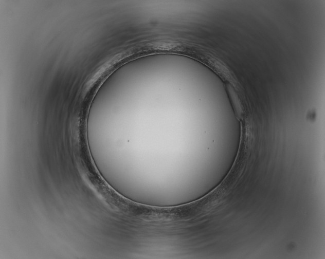 X0000116670626200912291659