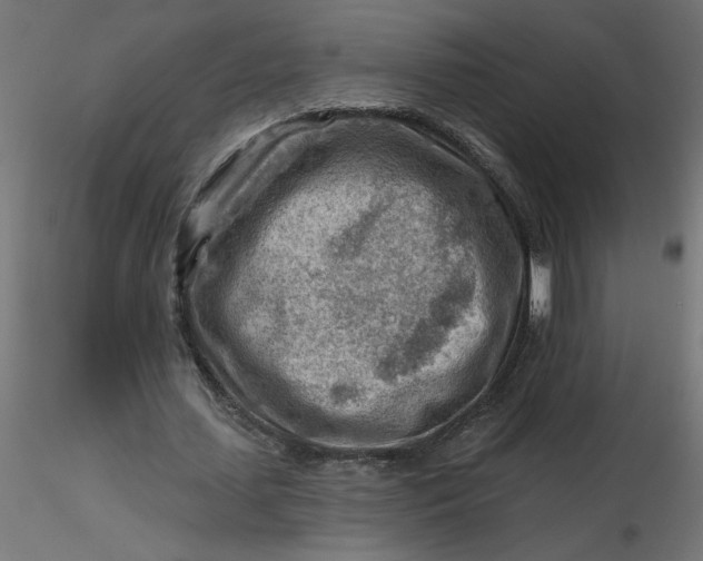 X0000116670627200912291659