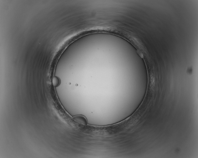 X0000116670628200912291659