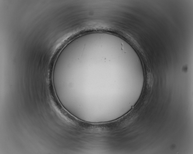 X0000116670629200912291659