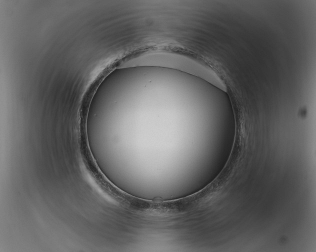 X0000116670630200912291659