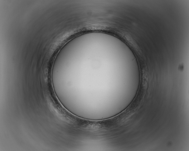 X0000116670631200912291659