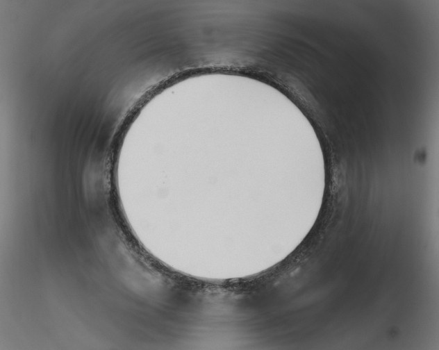 X0000116670632200912291659