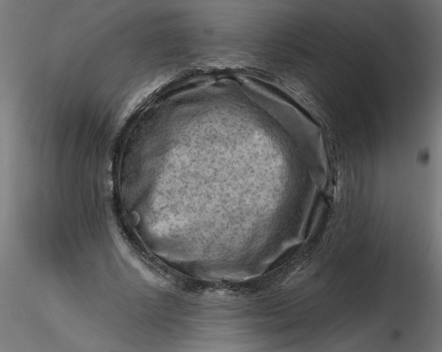 X0000116670634200912291659