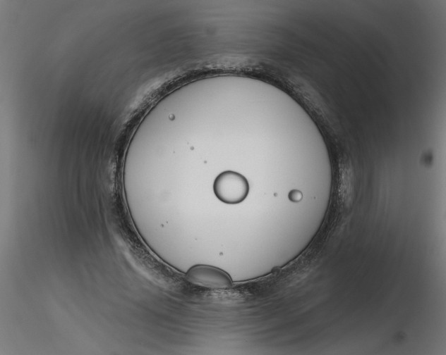 X0000116670636200912291659