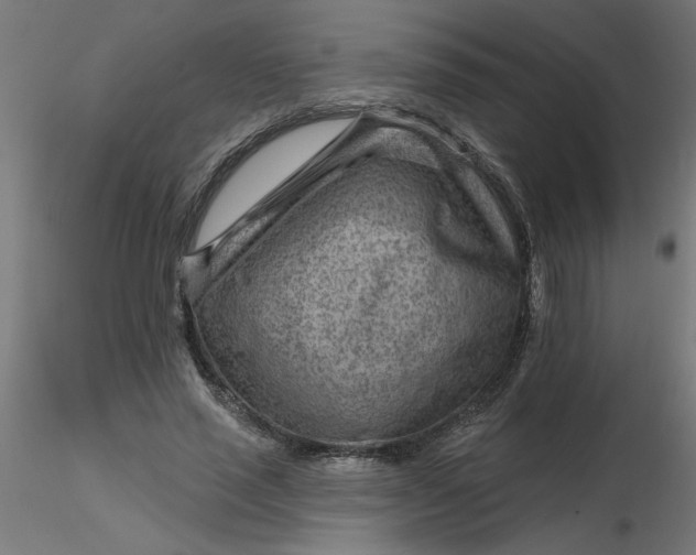 X0000116670637200912291659