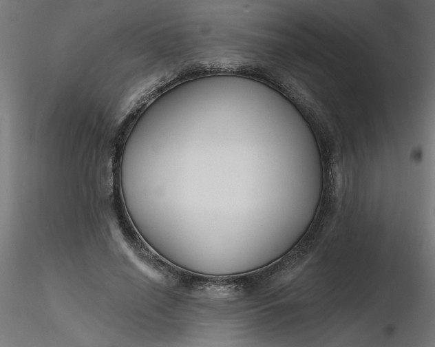 X0000116670638200912291659