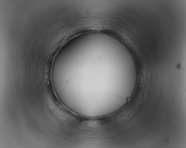 X0000116670639200912291659