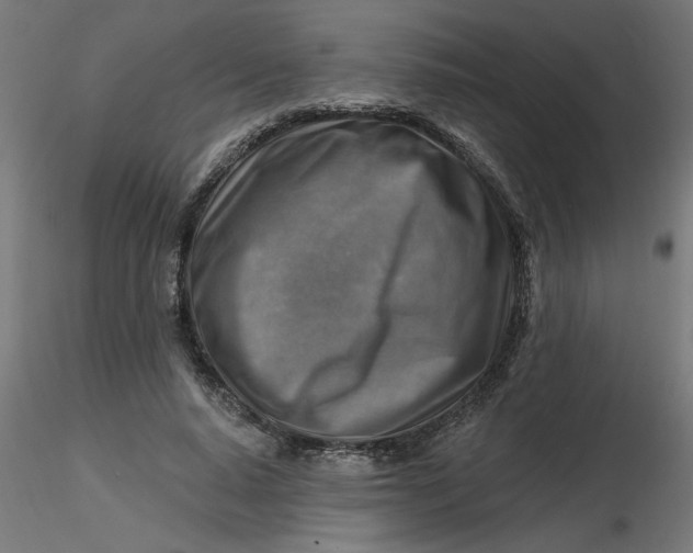 X0000116670640200912291659