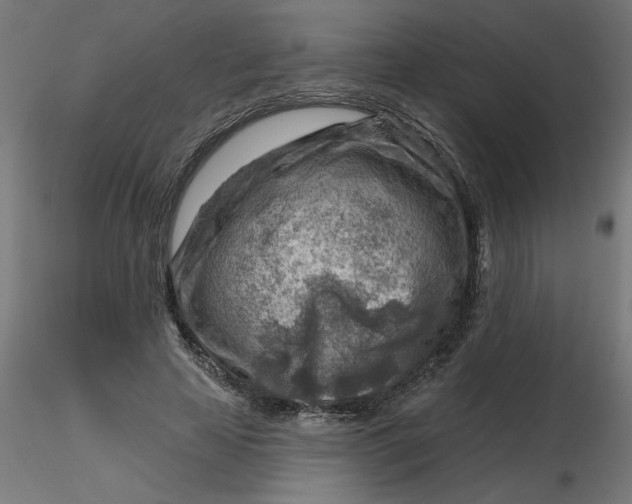 X0000116670641200912291659