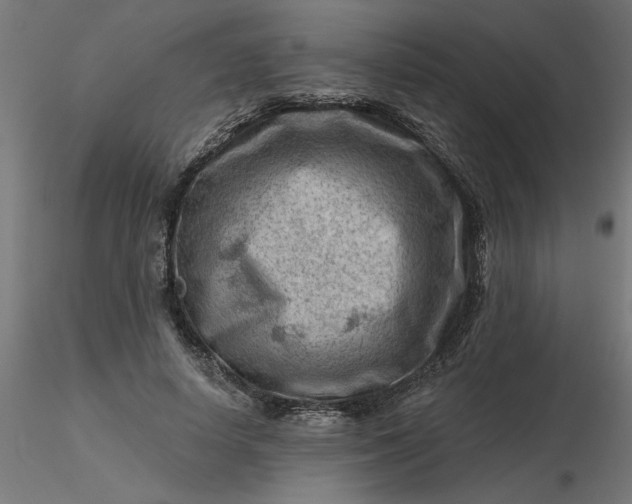 X0000116670642200912291659