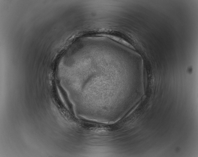 X0000116670643200912291659