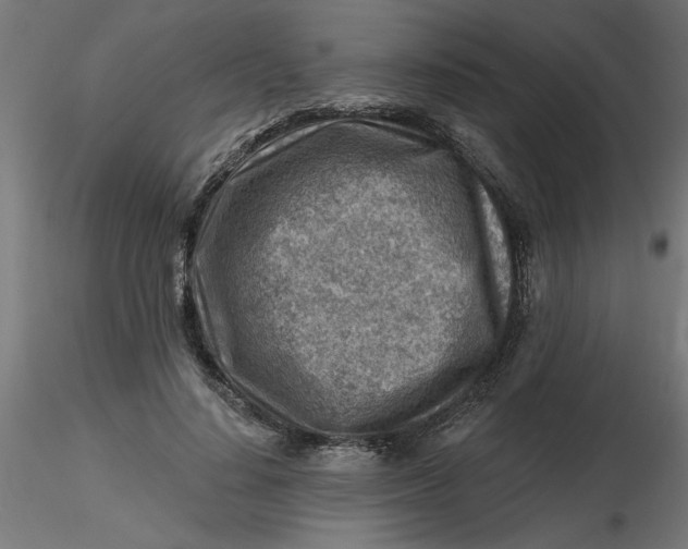 X0000116670644200912291659