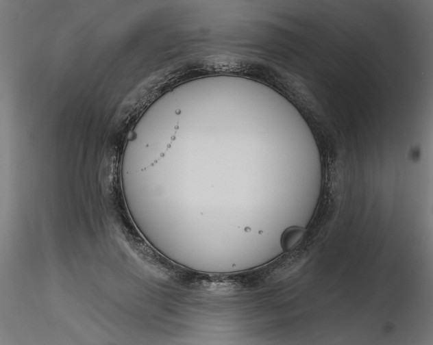 X0000116670645200912291659