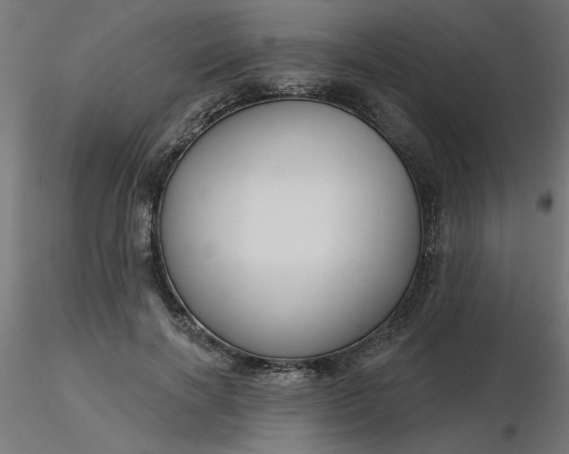 X0000116670646200912291659