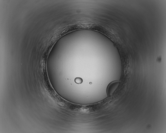 X0000116670647200912291659