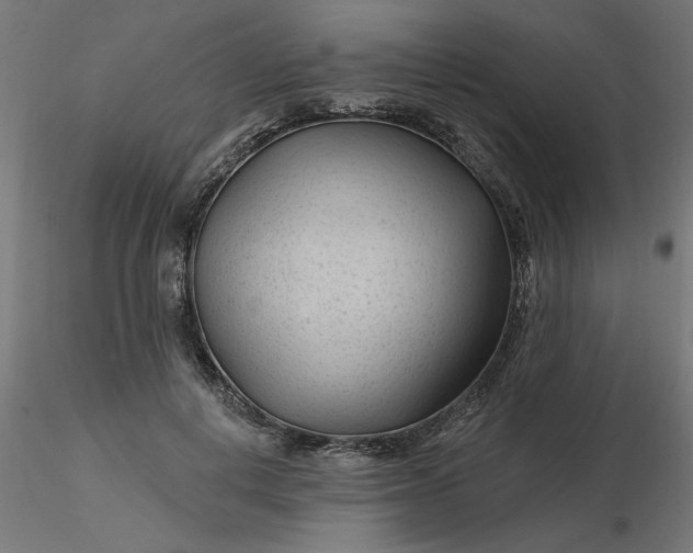 X0000116670648200912291659