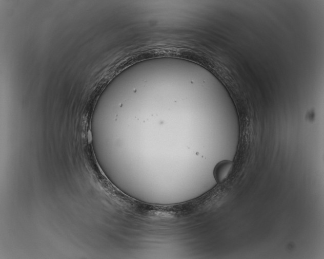 X0000116670649200912291659