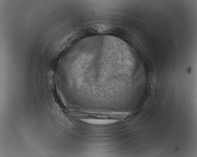 X0000116670650200912291659