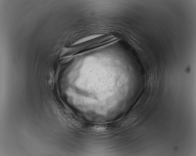 X0000116670651200912291659