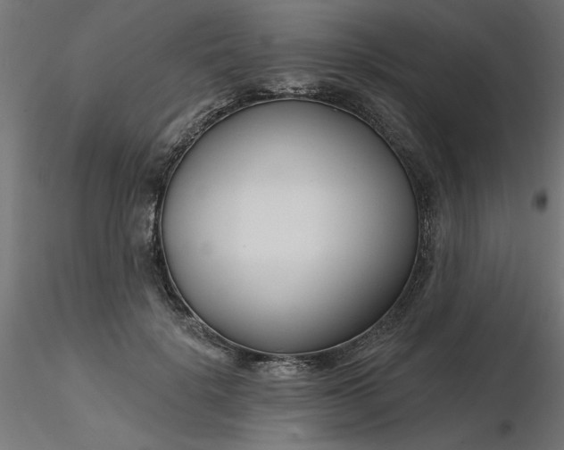 X0000116670652200912291659