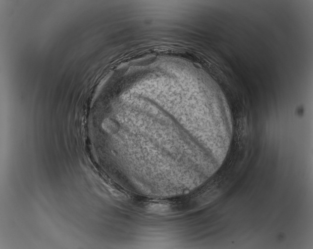 X0000116670653200912291659