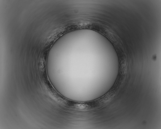 X0000116670654200912291659