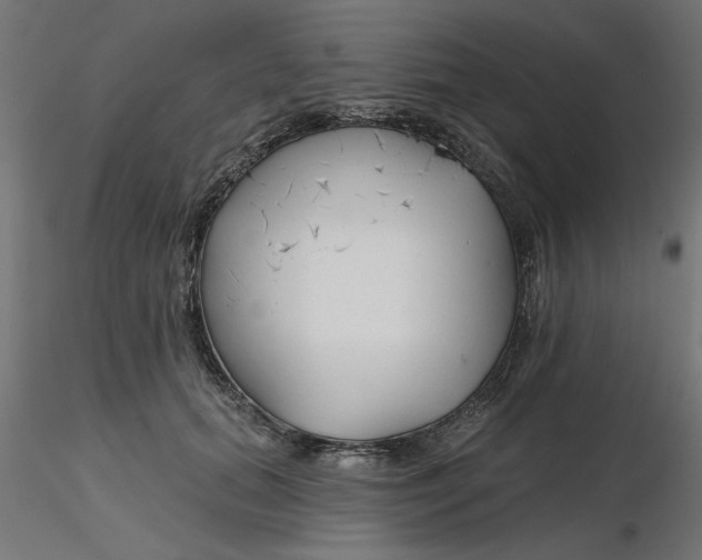 X0000116670655200912291659