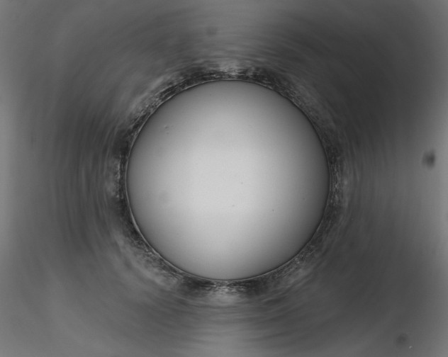 X0000116670656200912291659