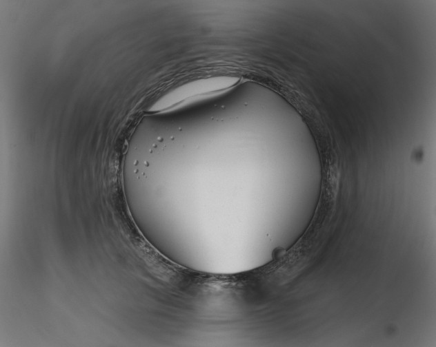 X0000116670657200912291659