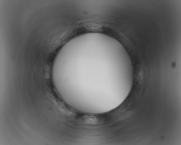 X0000116670658200912291659