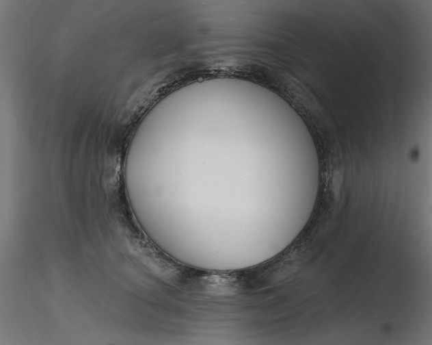 X0000116670660200912291659