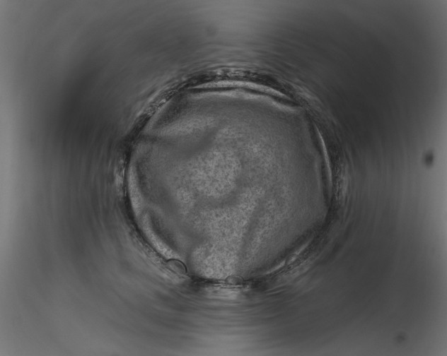 X0000116670661200912291659