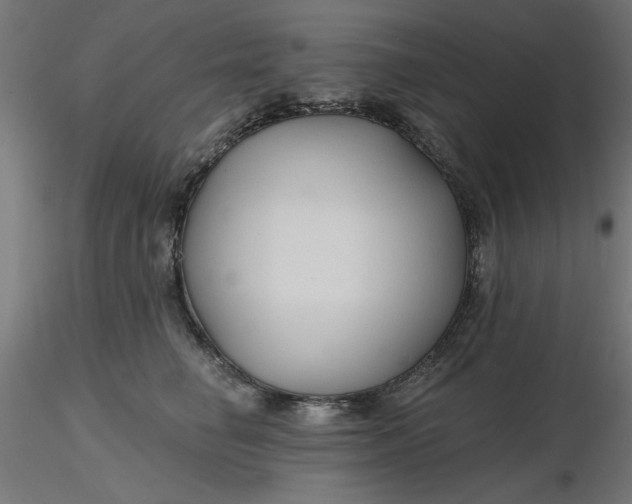 X0000116670662200912291659