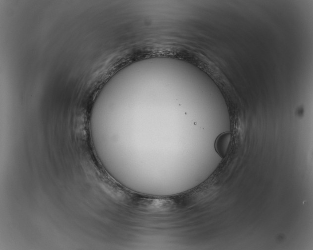 X0000116670663200912291659