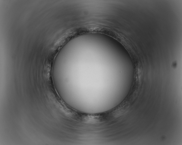 X0000116670664200912291659