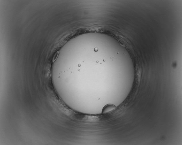 X0000116670665200912291659