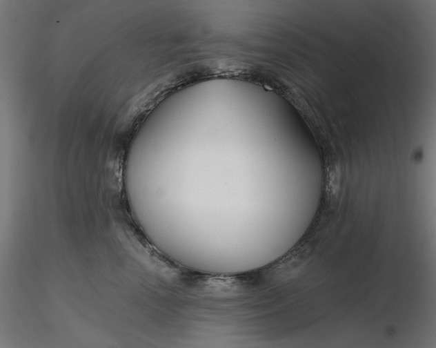 X0000116670666200912291659