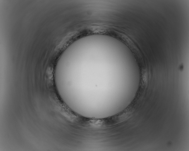 X0000116670667200912291659