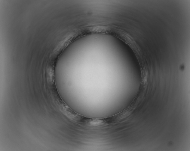 X0000116670669200912291659