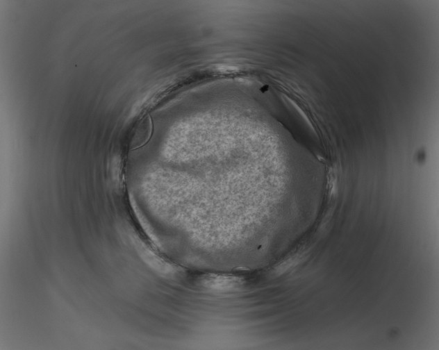 X0000116670670200912291659