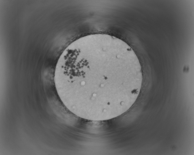 X0000116670672200912291659