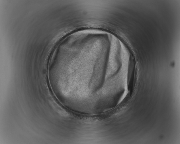 X0000116670673200912291659