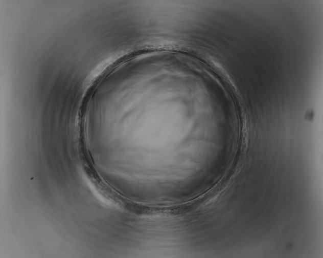 X0000116670674200912291659