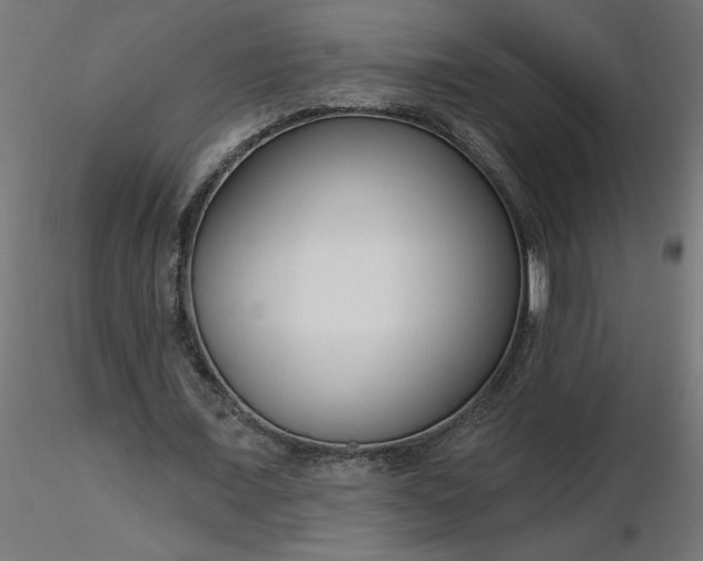 X0000116670675200912291659