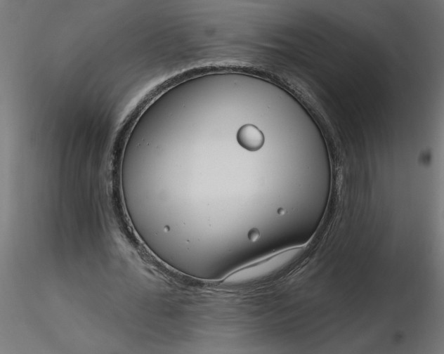 X0000116670676200912291659