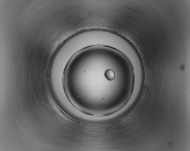 X0000116670677200912291659